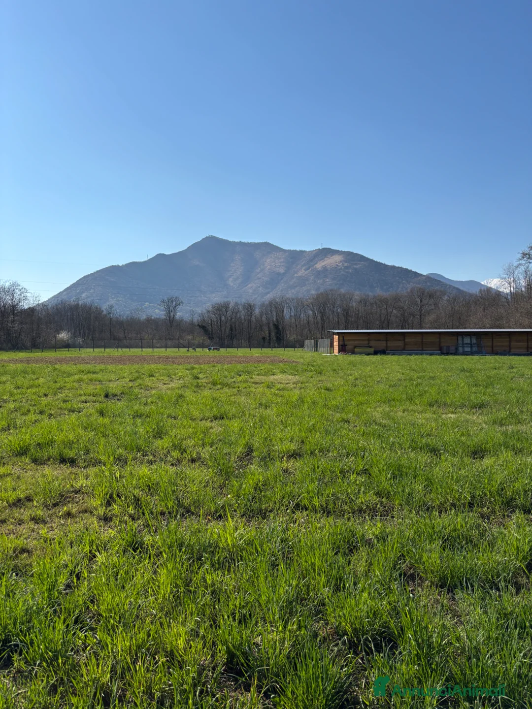 Immagine della galleria {{count}}