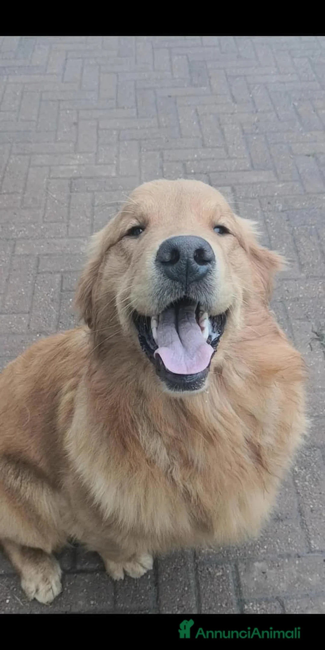 Immagine della galleria {{count}}