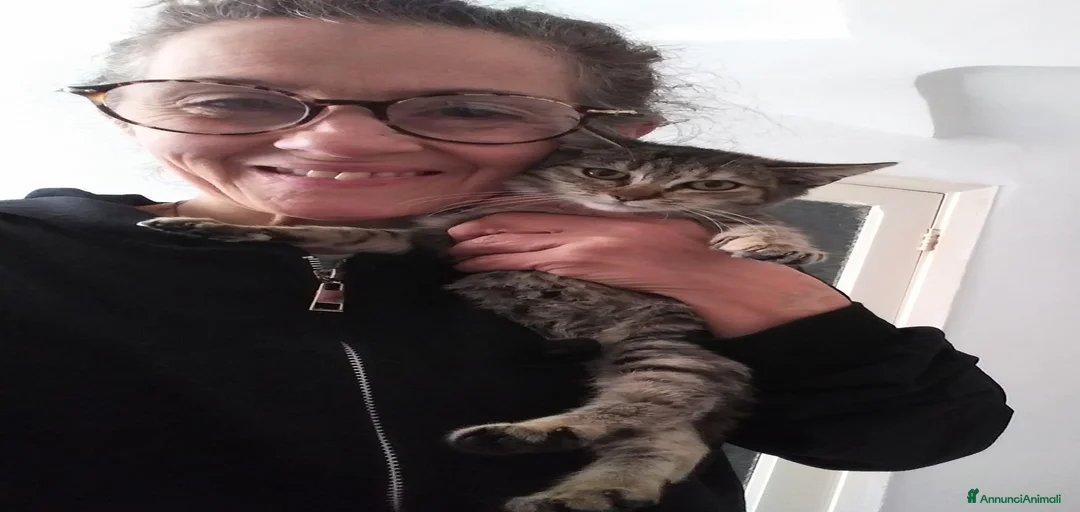 Immagine della galleria {{count}}