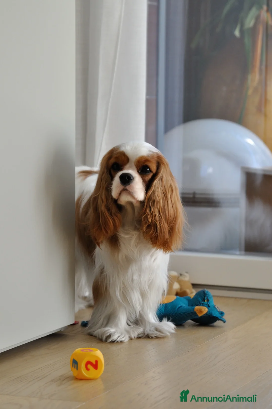 Immagine della galleria {{count}}