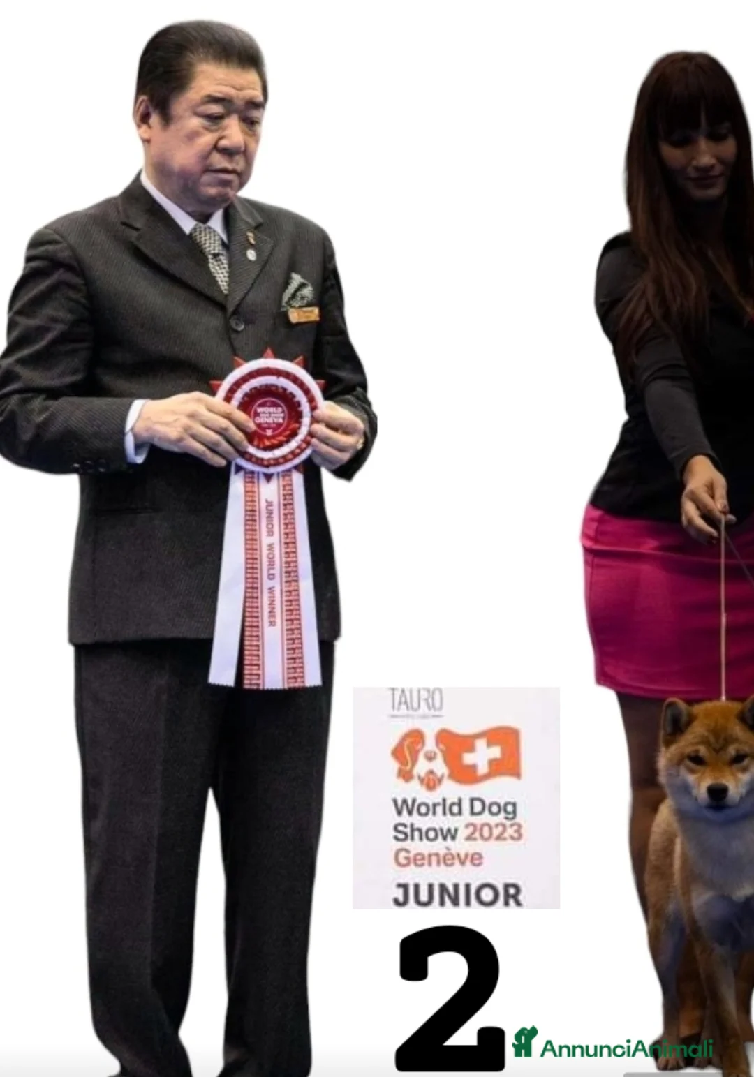 Immagine della galleria {{count}}