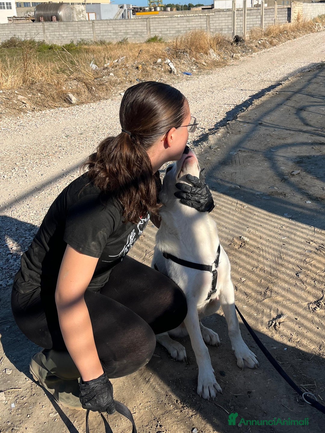 Altre razze cani in regalo: CHUCK – Cucciolo buono e socievole - Annuncio 2