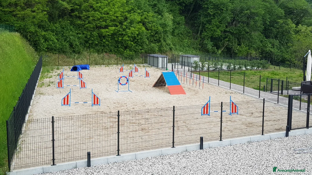 Immagine della galleria {{count}}