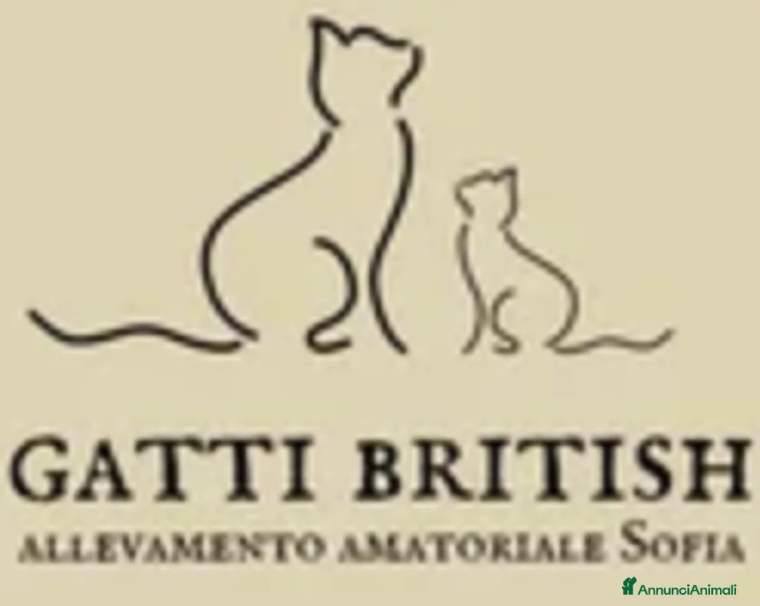 Immagine della galleria {{count}}