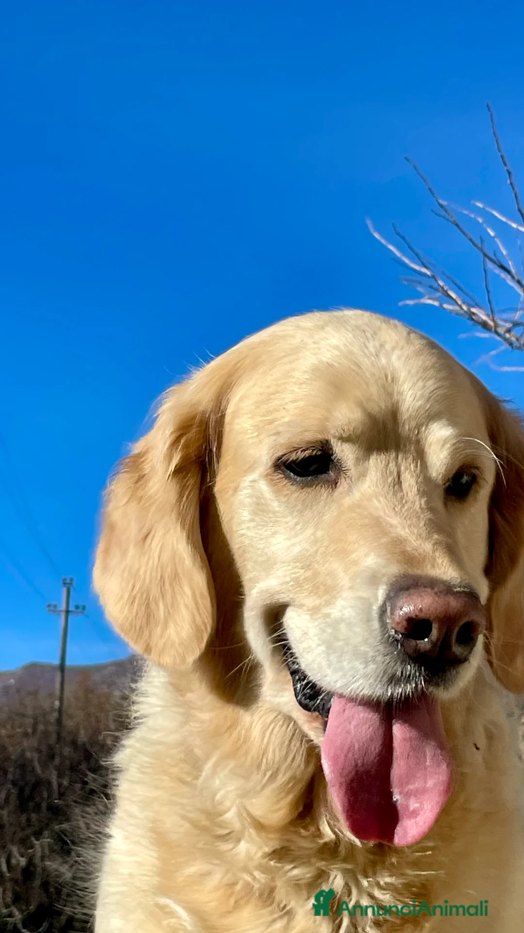 Immagine della galleria {{count}}