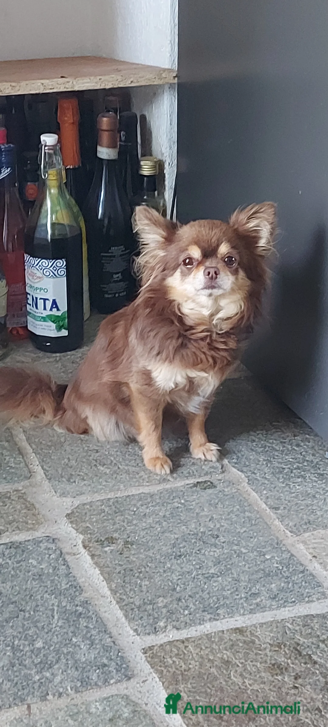 Immagine della galleria {{count}}