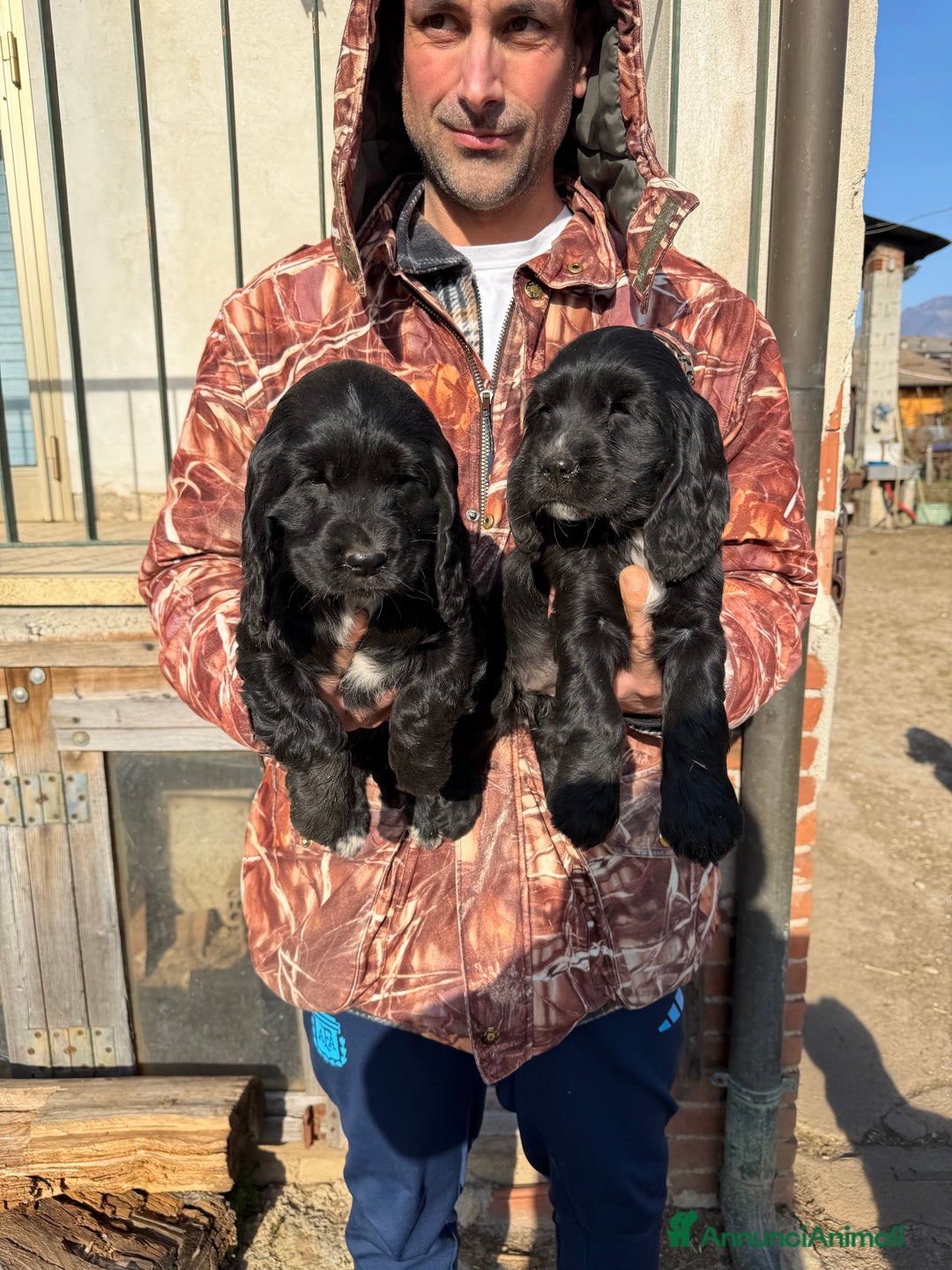 Immagine della galleria {{count}}