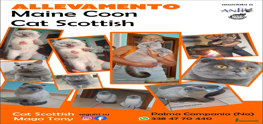 Immagine della galleria {{count}}