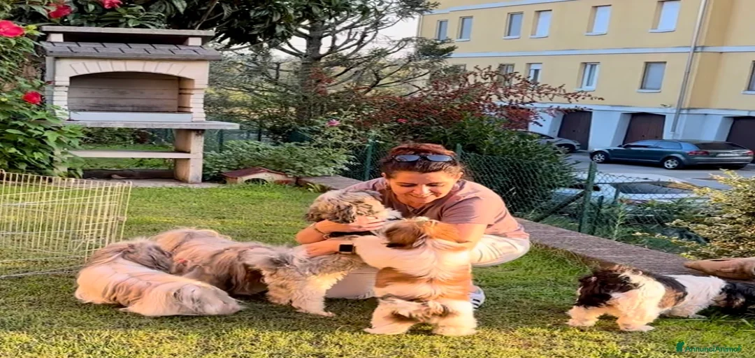 Immagine della galleria {{count}}