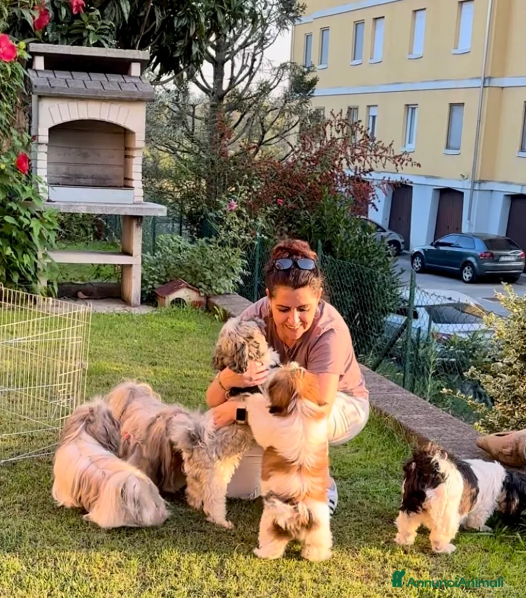 Immagine della galleria {{count}}