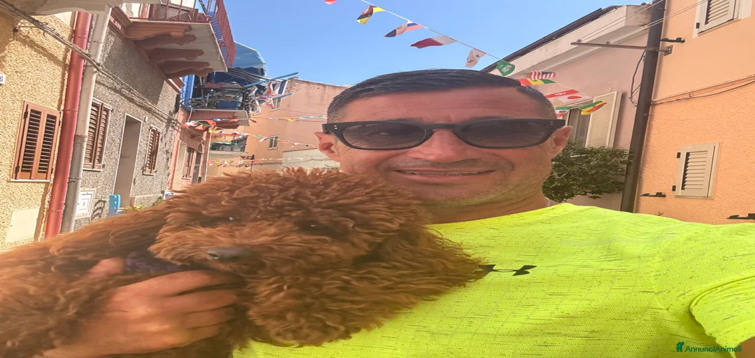 Immagine della galleria {{count}}