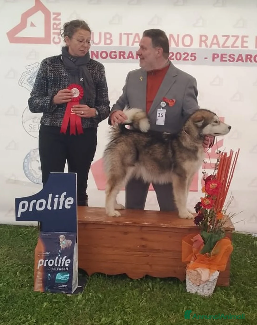 Immagine della galleria {{count}}