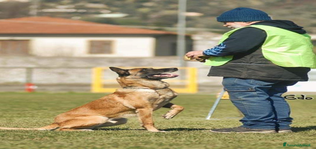 Immagine della galleria {{count}}