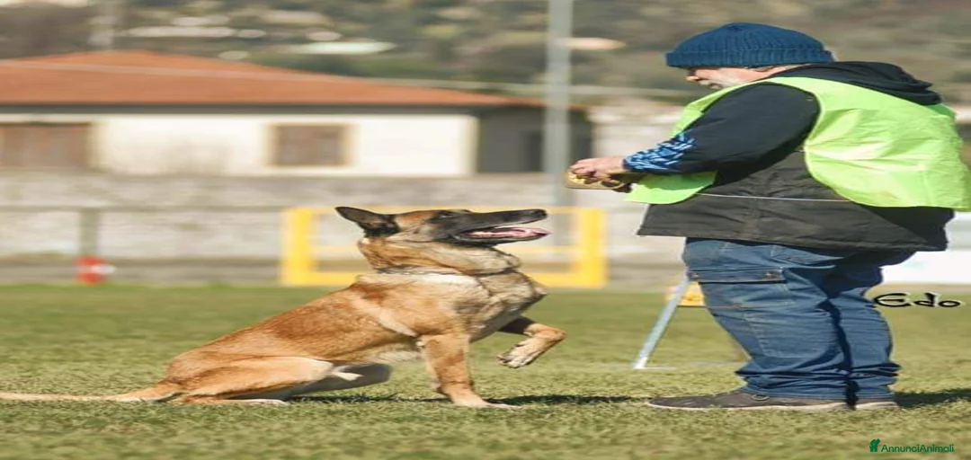 Immagine della galleria {{count}}