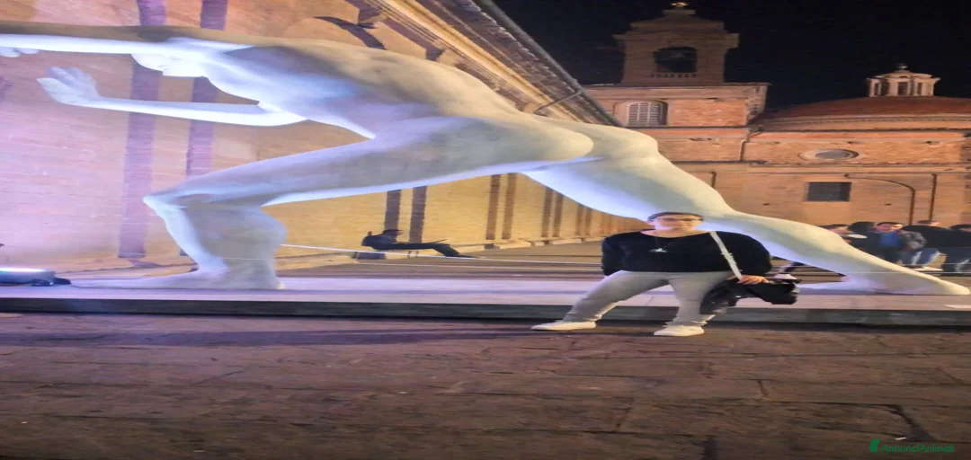 Immagine della galleria {{count}}