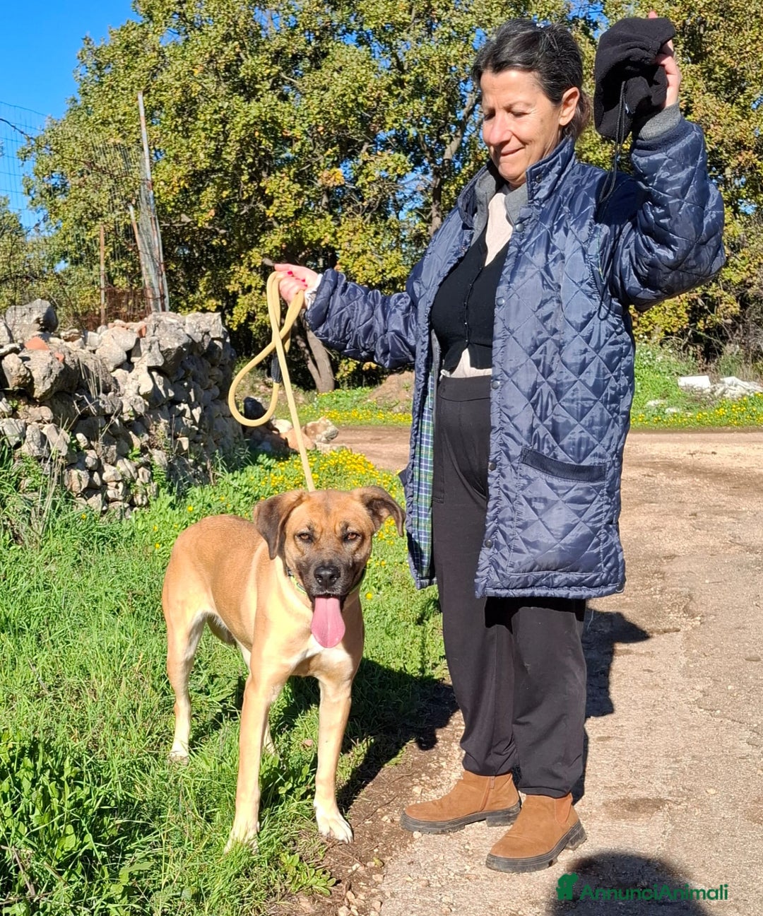 Meticcio cani in regalo: Mara Cerca Famiglia. Info Monica 3890238584 - Annuncio 6