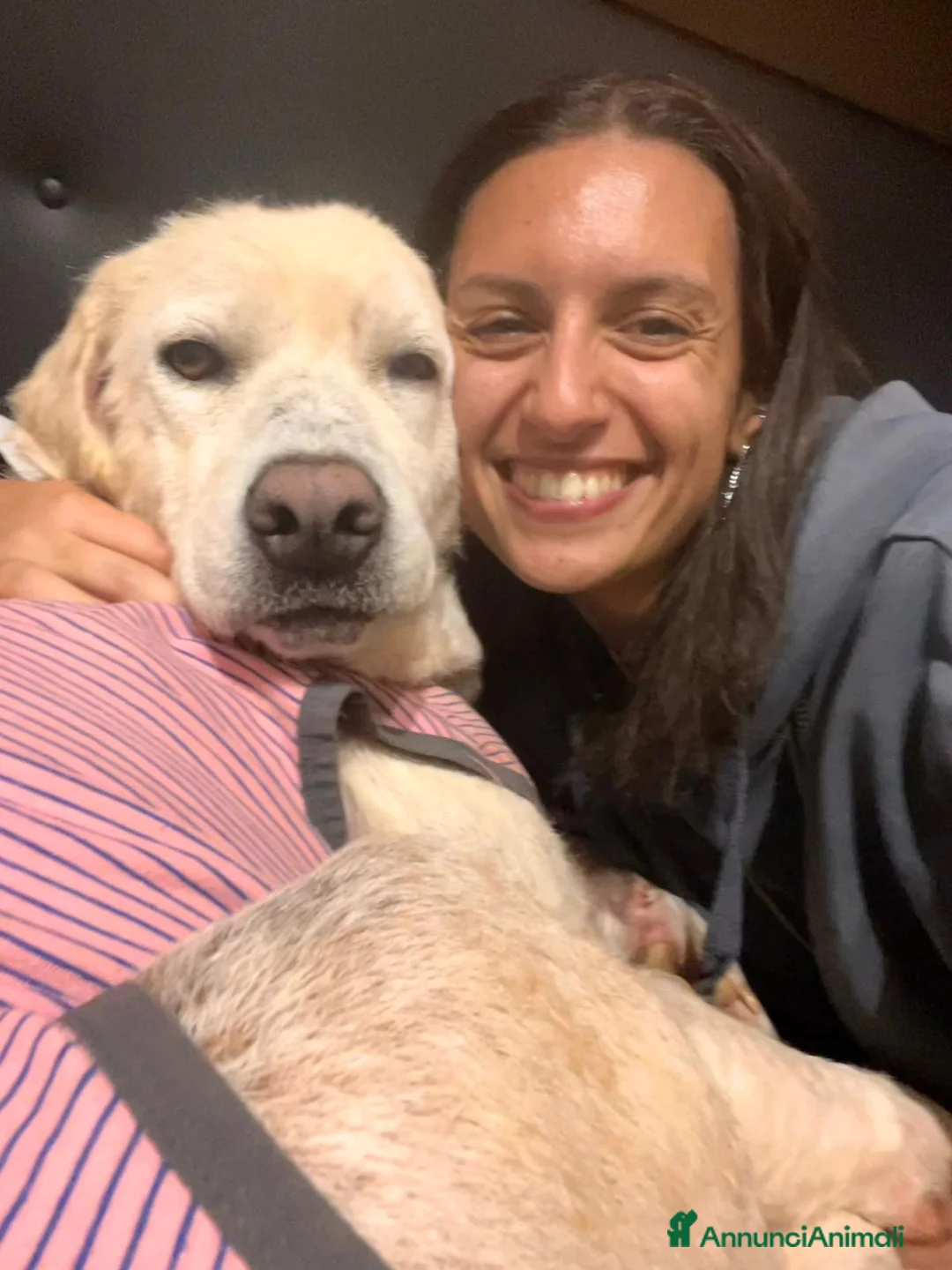 Meticcio cani in regalo: Fatima cagnolona tutta pregi....perfetta a Città metropolitana di Milano - Annuncio 2