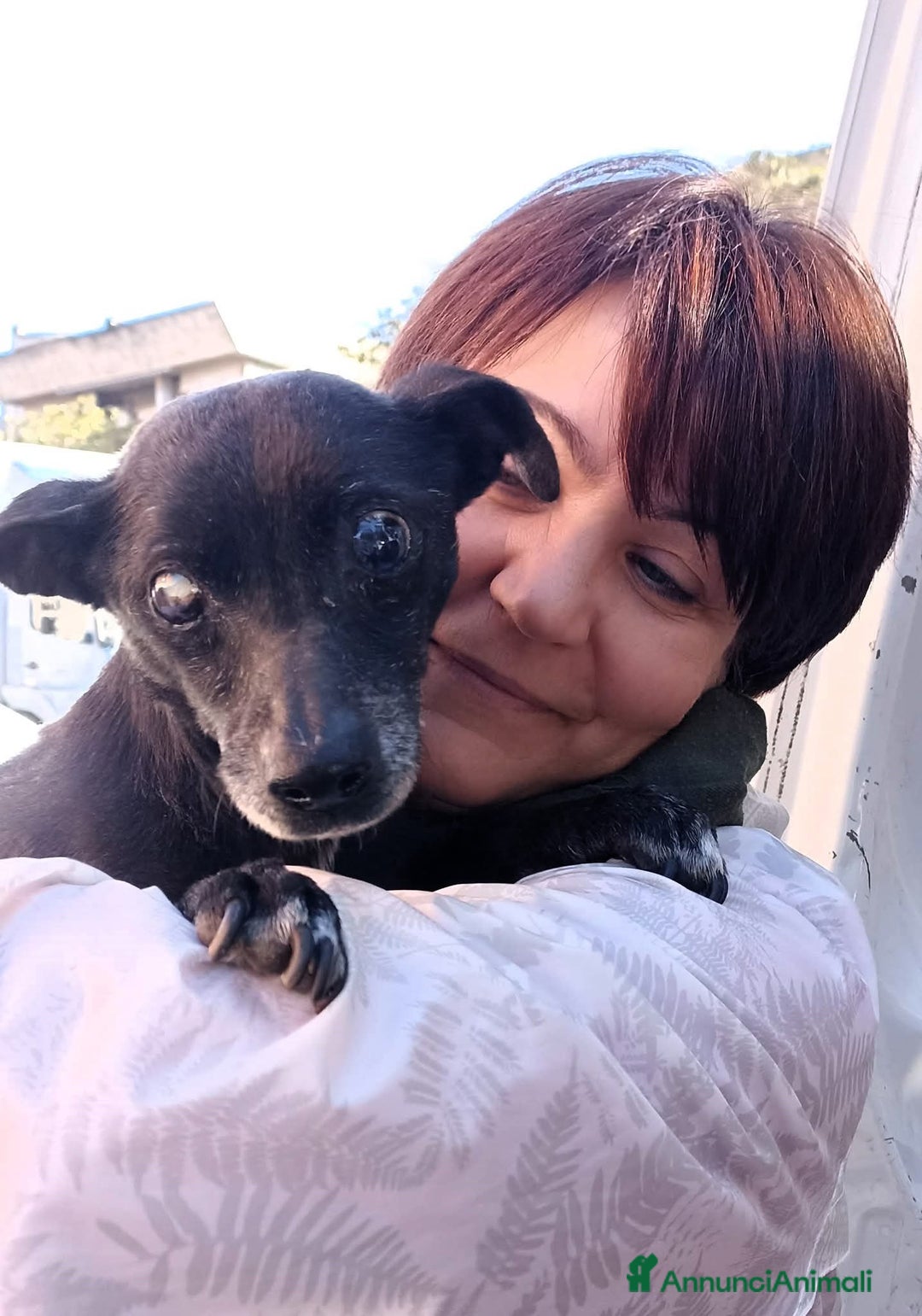 Meticcio cani in regalo: Bobby super adozione del ❤️ - Annuncio 7