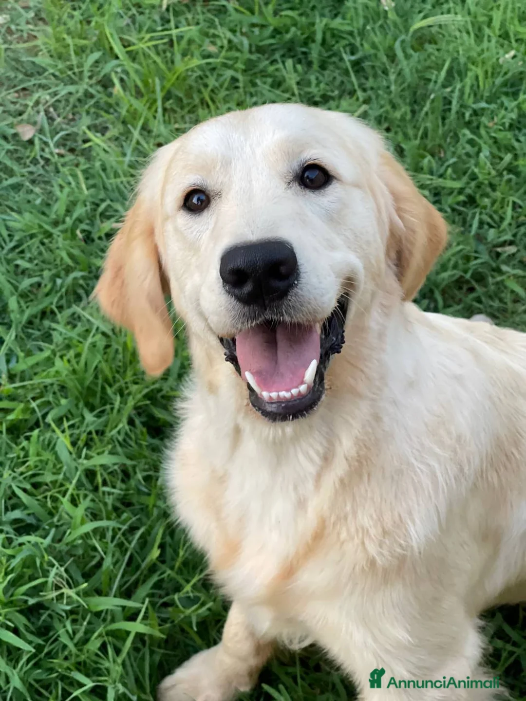 Immagine della galleria {{count}}