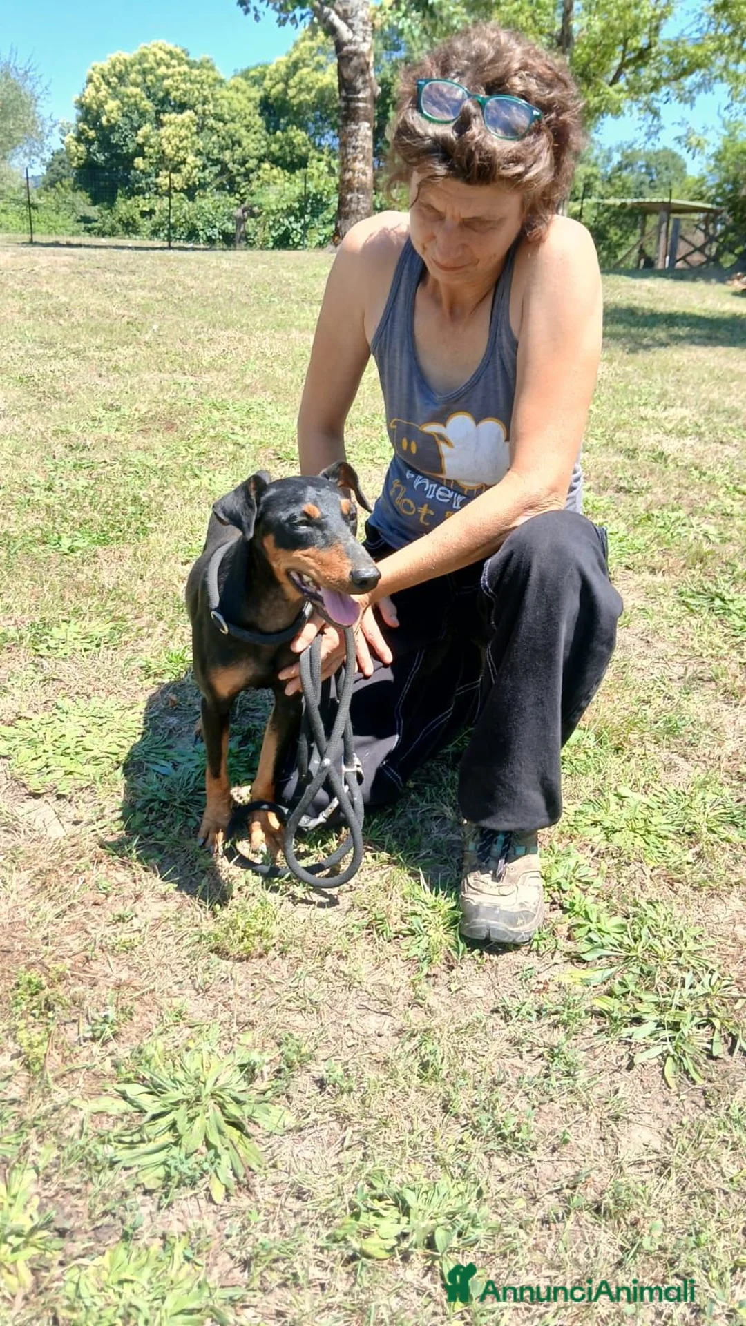 Meticcio cani in regalo: DUCA TUTTA LA DOLCEZZA DEL MONDO IN 10 KG..  - Annuncio 2