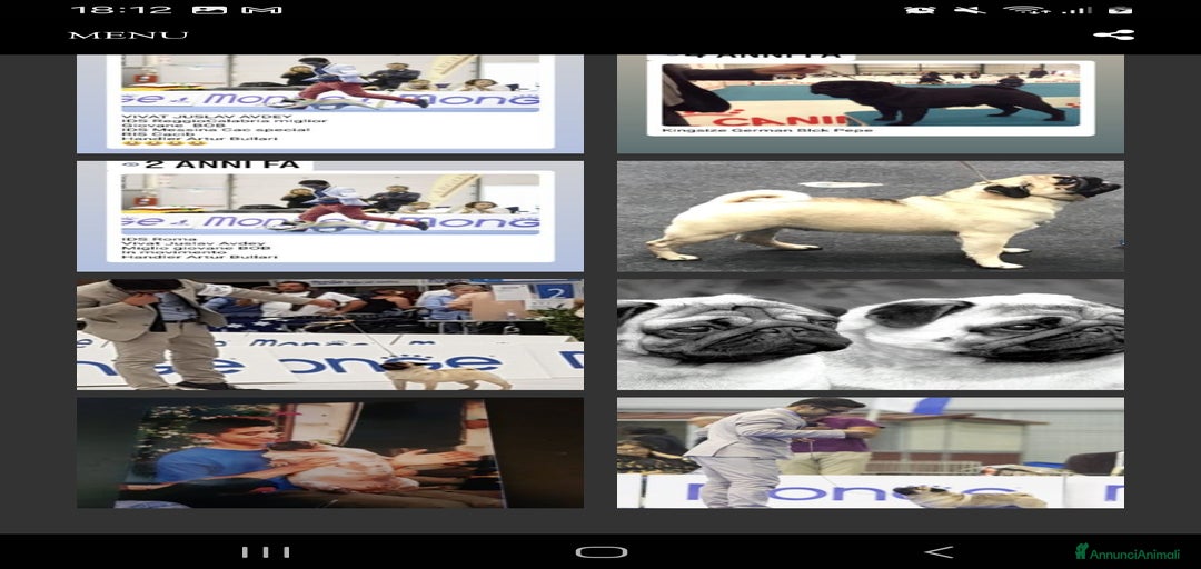 Immagine della galleria {{count}}