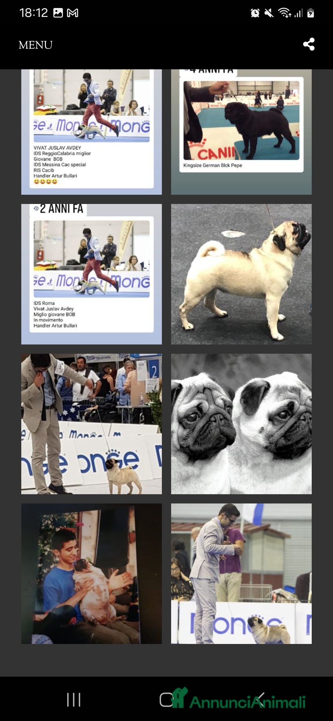 Immagine della galleria {{count}}