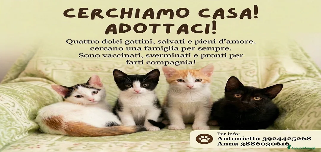 Immagine della galleria {{count}}
