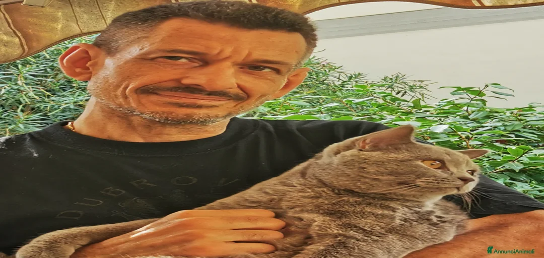 Immagine della galleria {{count}}