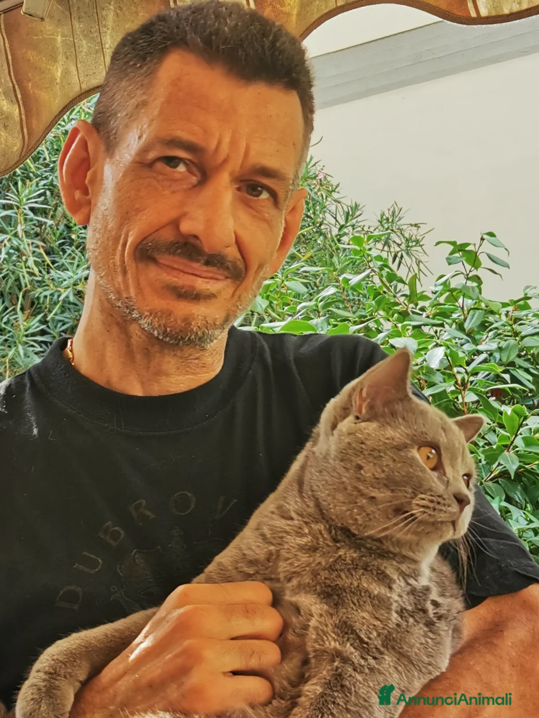 Immagine della galleria {{count}}