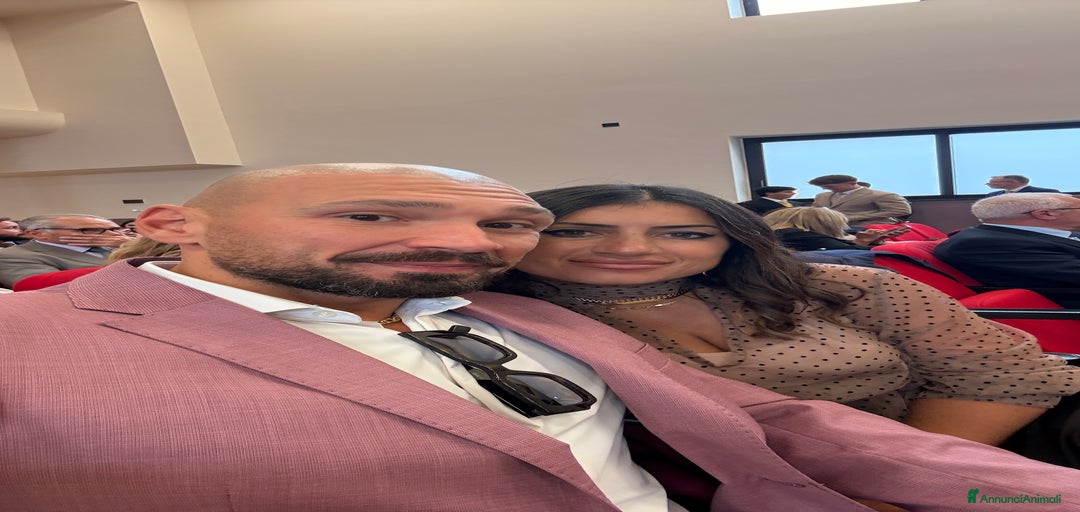 Immagine della galleria {{count}}