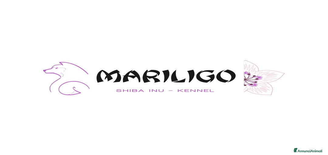 Immagine della galleria {{count}}