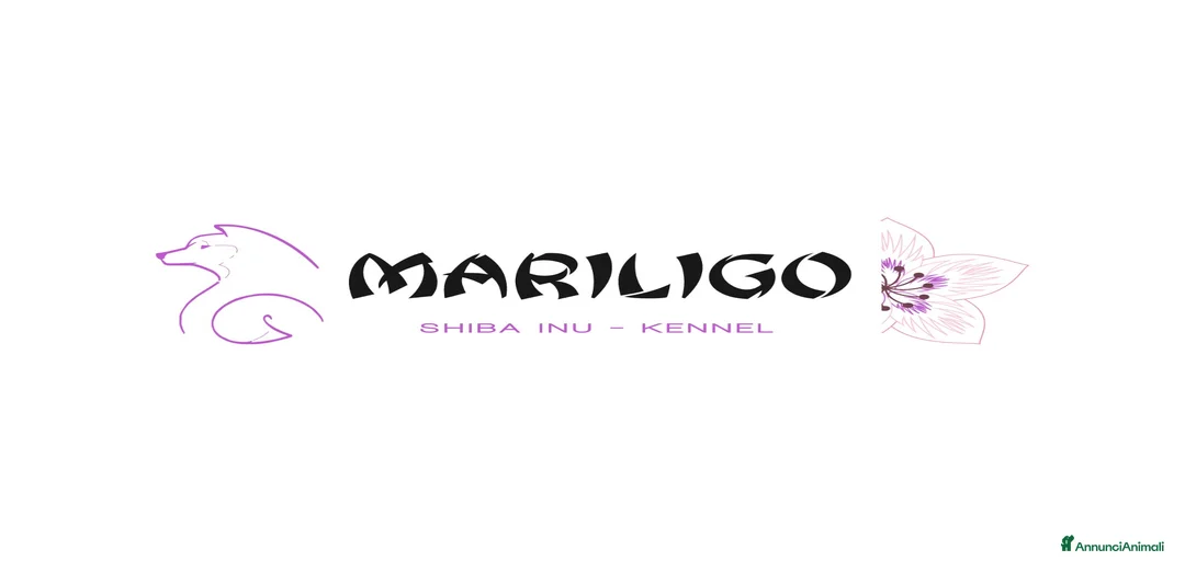 Immagine della galleria {{count}}