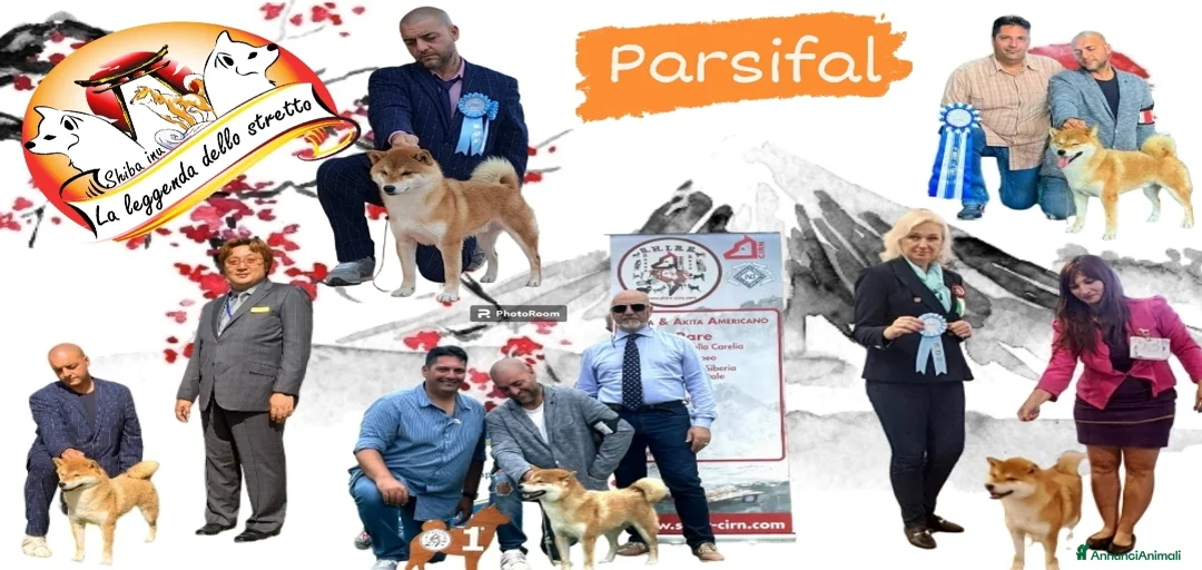 Immagine della galleria {{count}}