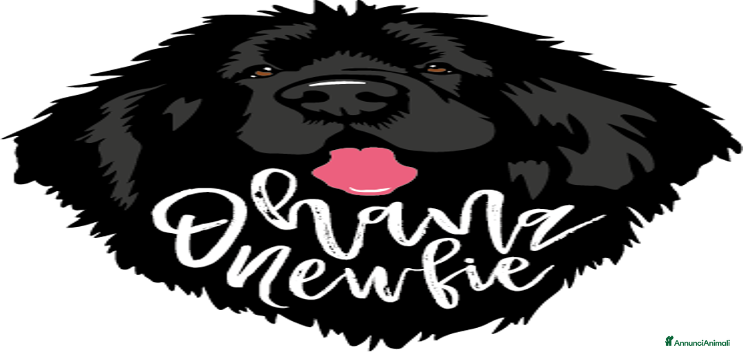 Immagine della galleria {{count}}