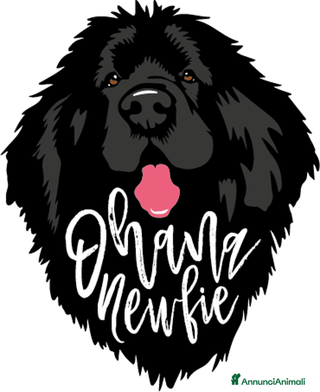 Immagine della galleria {{count}}