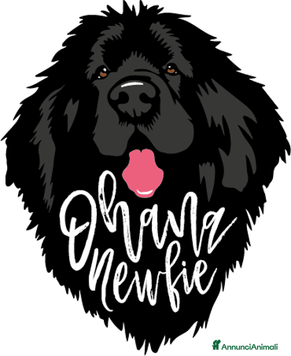 Immagine della galleria {{count}}