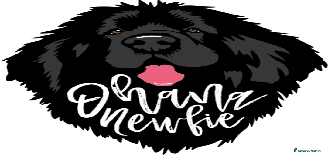 Immagine della galleria {{count}}