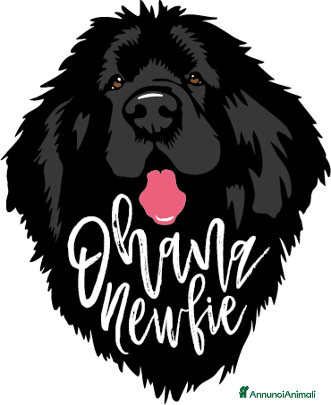 Immagine della galleria {{count}}