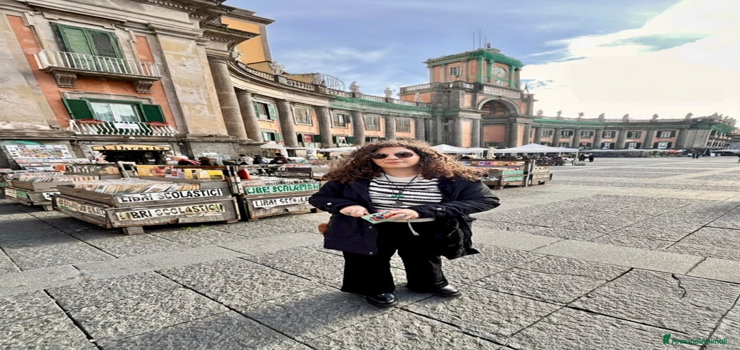 Immagine della galleria {{count}}