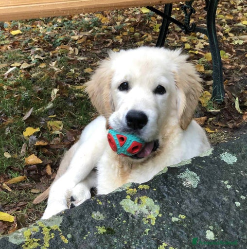 Immagine della galleria {{count}}