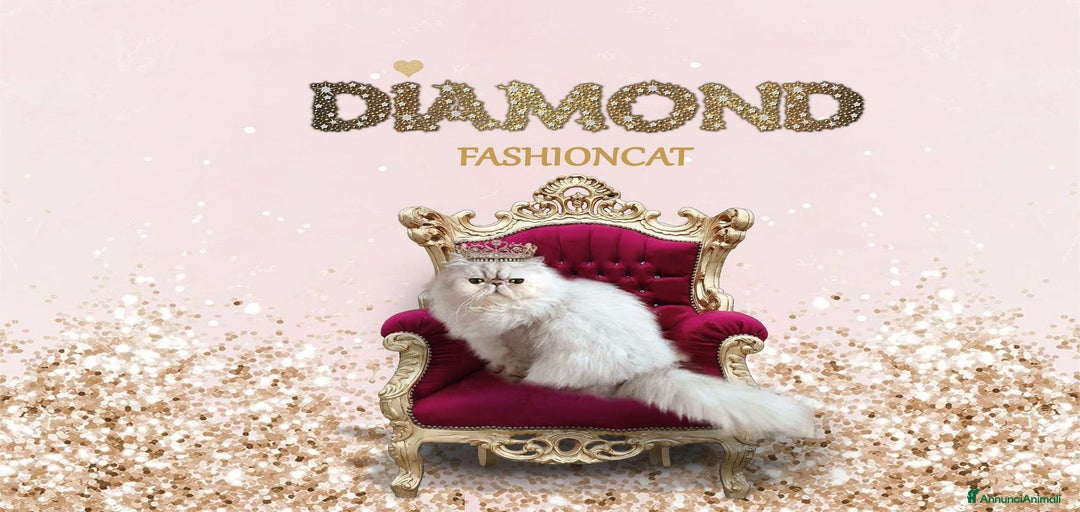 Immagine della galleria {{count}}