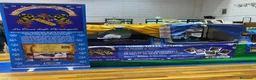 British gatti in vendita: Cuccioli British Femmina - Annuncio 5