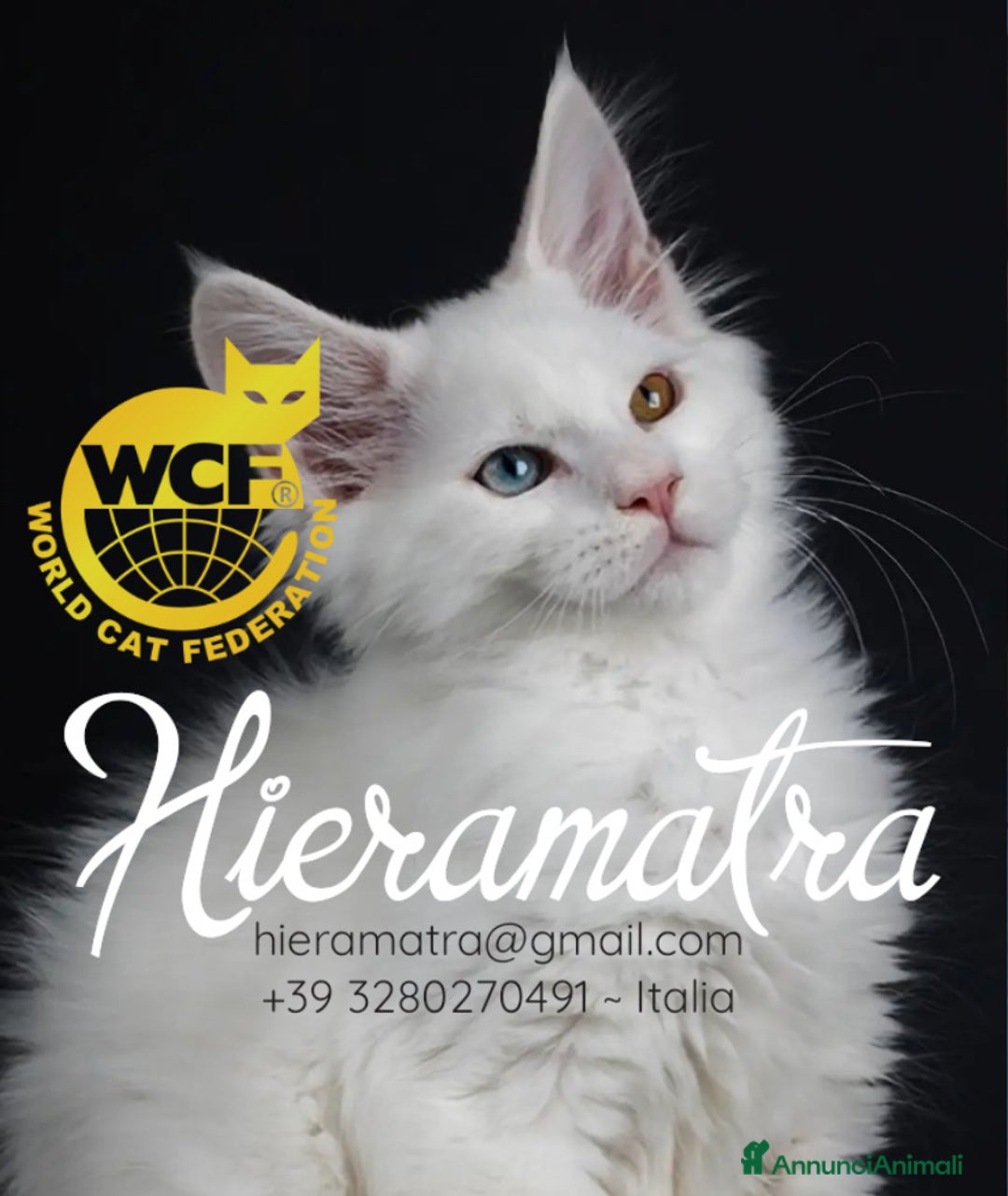 Immagine della galleria {{count}}