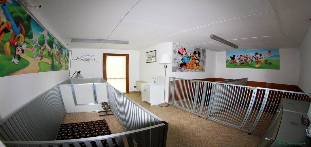 Immagine della galleria {{count}}