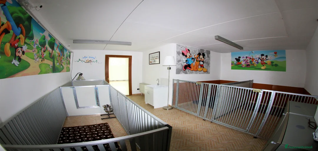 Immagine della galleria {{count}}