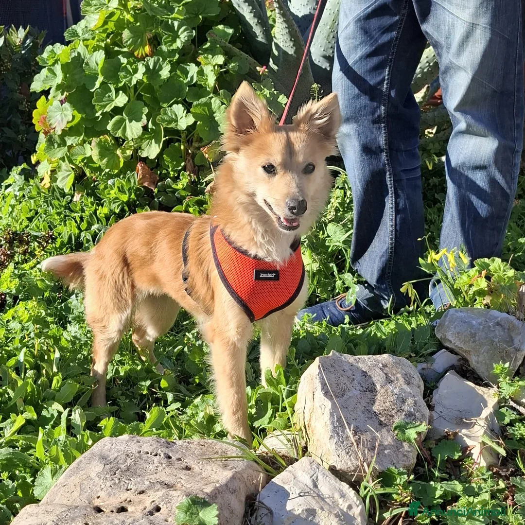 Immagine della galleria {{count}}