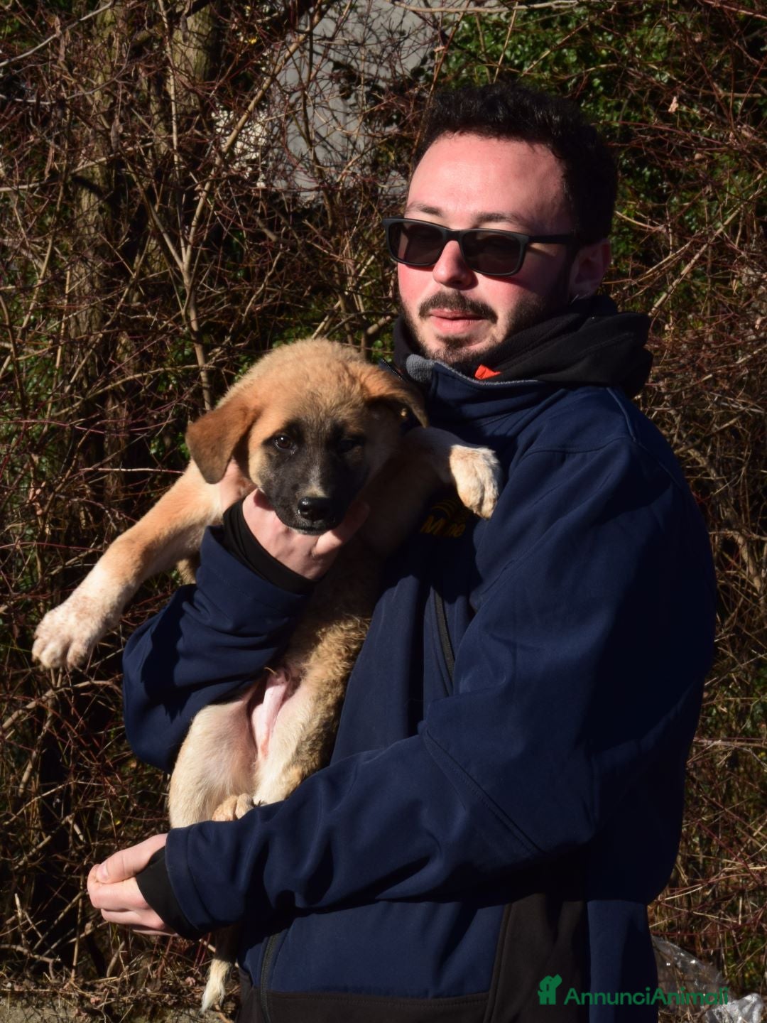 Altre razze cani in regalo: tini e tortellino - Annuncio 3