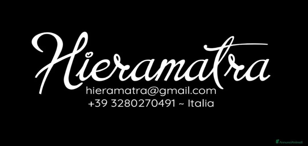 Immagine della galleria {{count}}