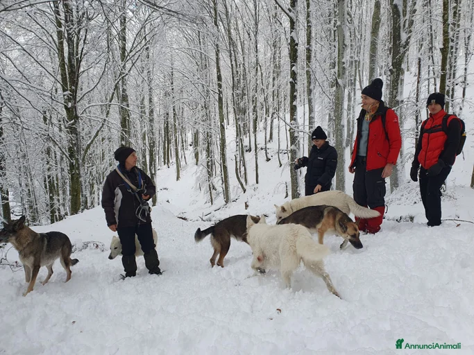 Immagine della galleria {{count}}