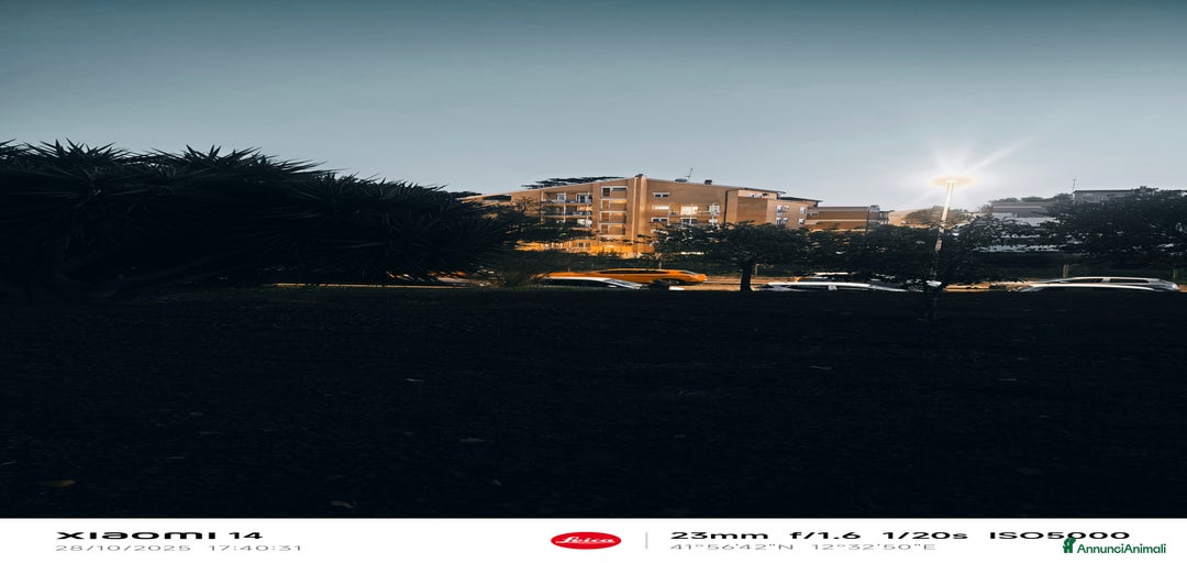 Immagine della galleria {{count}}